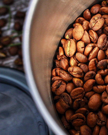 Roam Roasters - Photo 1